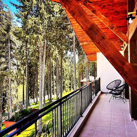 Boutique Villas Murgavets Pamporovo Exterior photo